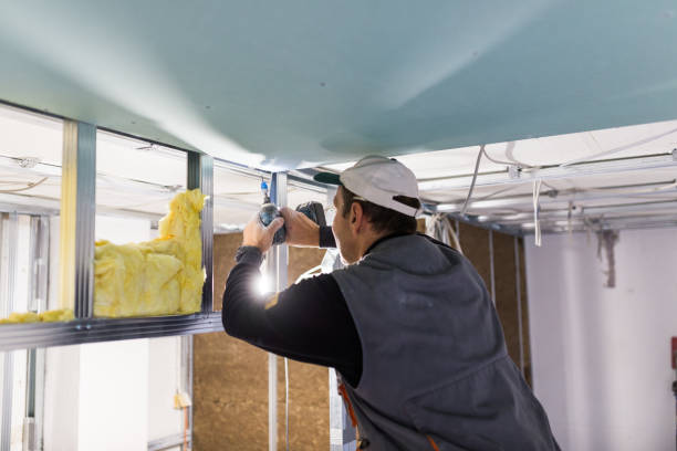 Best Insulation Materials and Products in Farmington, IL