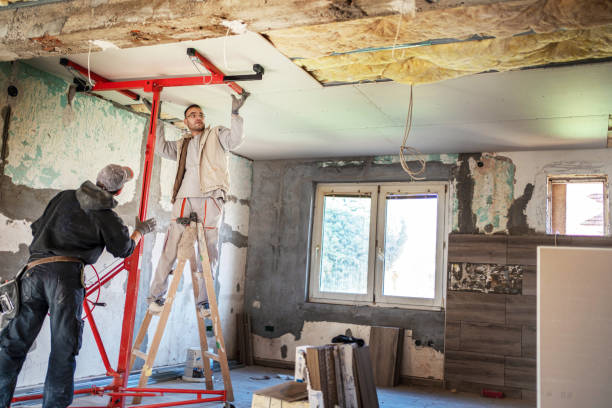 Best Residential Insulation in Farmington, IL